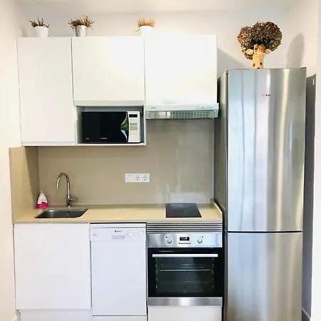 Rosales Y Jardin Appartement Oviede